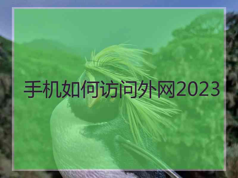 手机如何访问外网2023