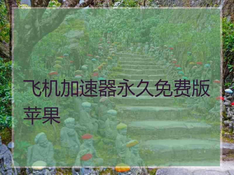 飞机加速器永久免费版苹果