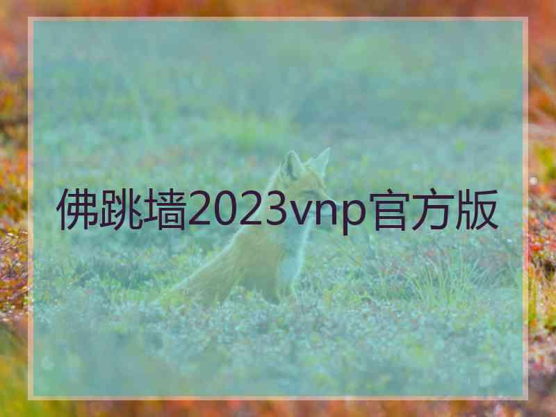 佛跳墙2023vnp官方版