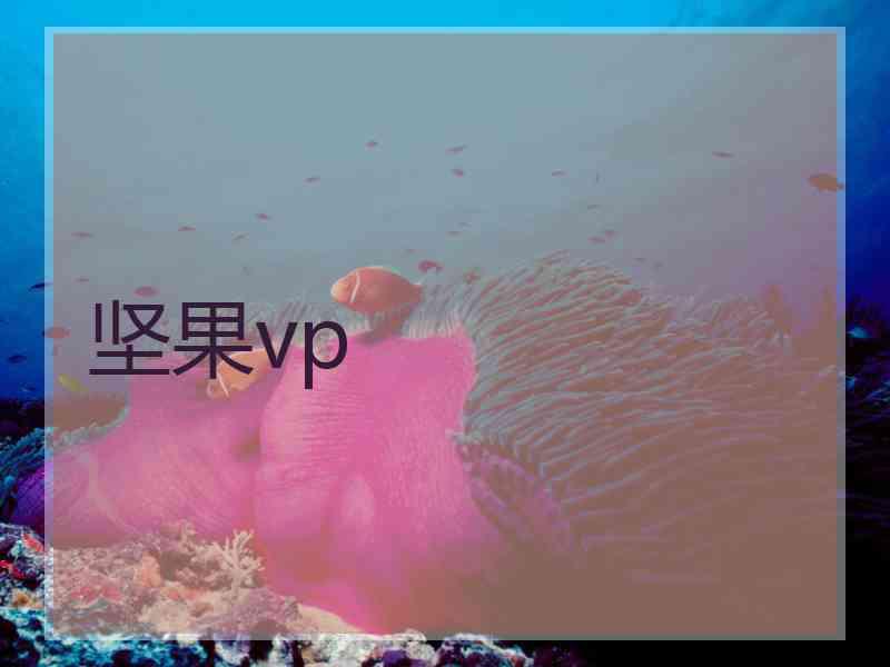 坚果vp