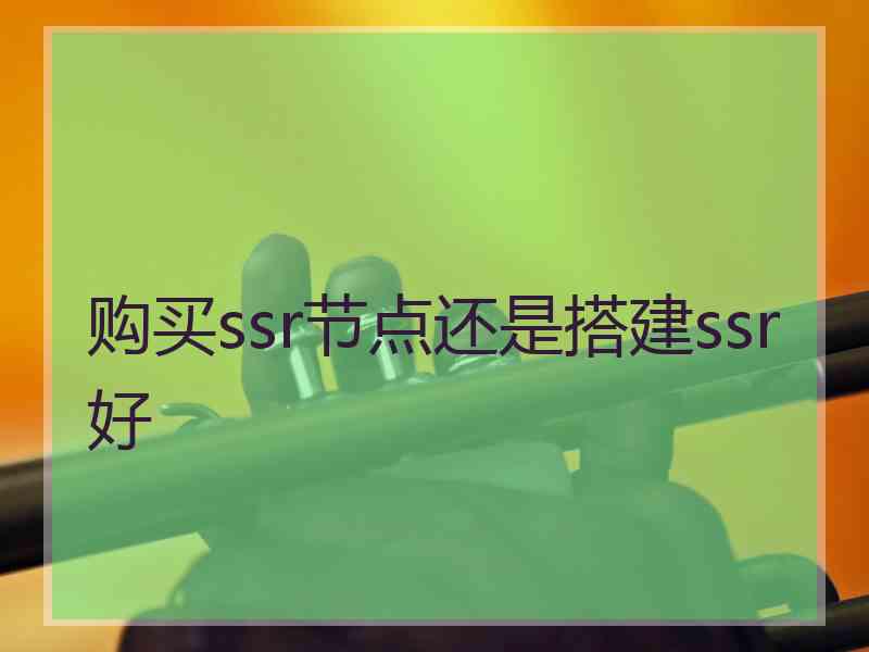 购买ssr节点还是搭建ssr好