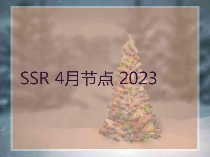 SSR 4月节点 2023