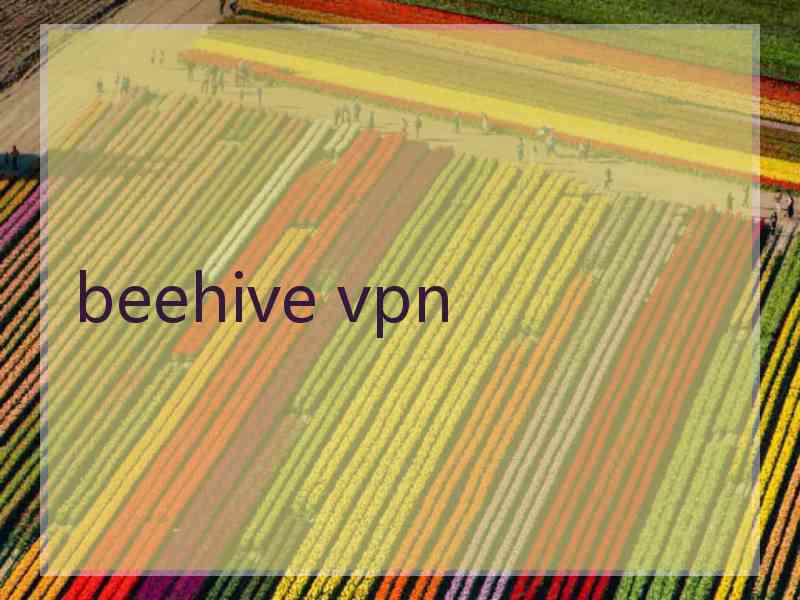 beehive vpn