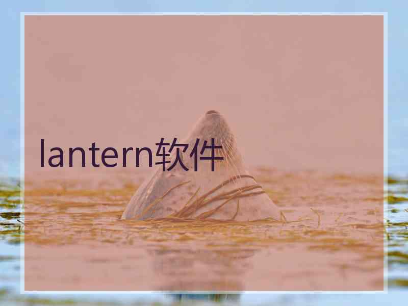 lantern软件