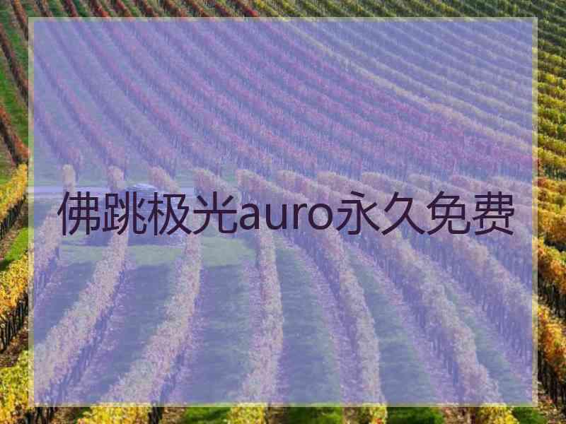 佛跳极光auro永久免费