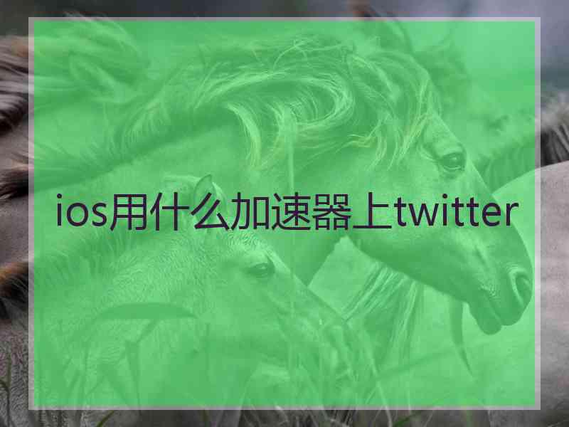 ios用什么加速器上twitter