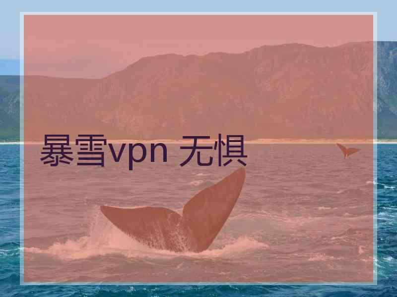 暴雪vpn 无惧