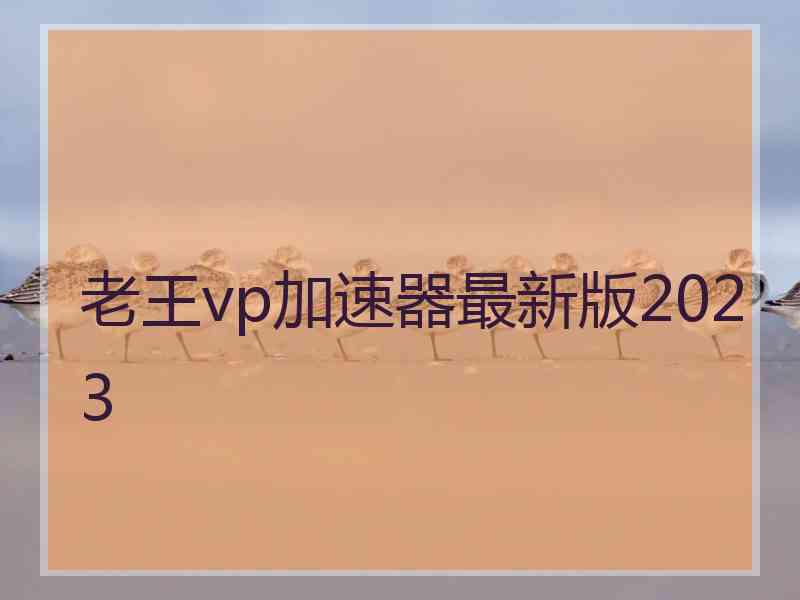 老王vp加速器最新版2023