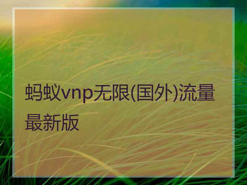 蚂蚁vnp无限(国外)流量最新版