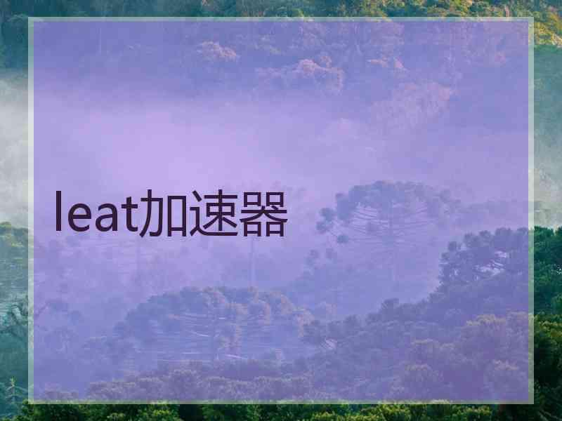 leat加速器