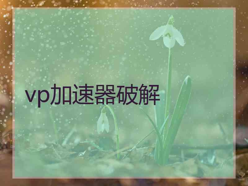 vp加速器破解