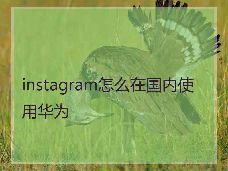 instagram怎么在国内使用华为