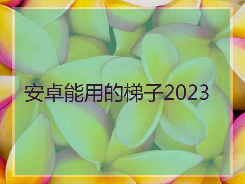 安卓能用的梯子2023