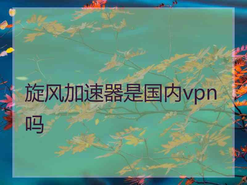 旋风加速器是国内vpn吗