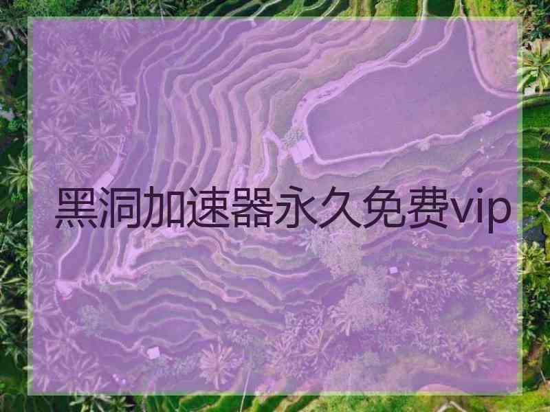 黑洞加速器永久免费vip