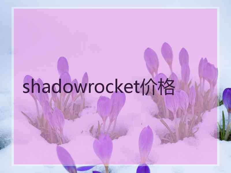 shadowrocket价格