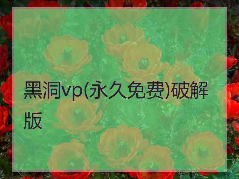 黑洞vp(永久免费)破解版