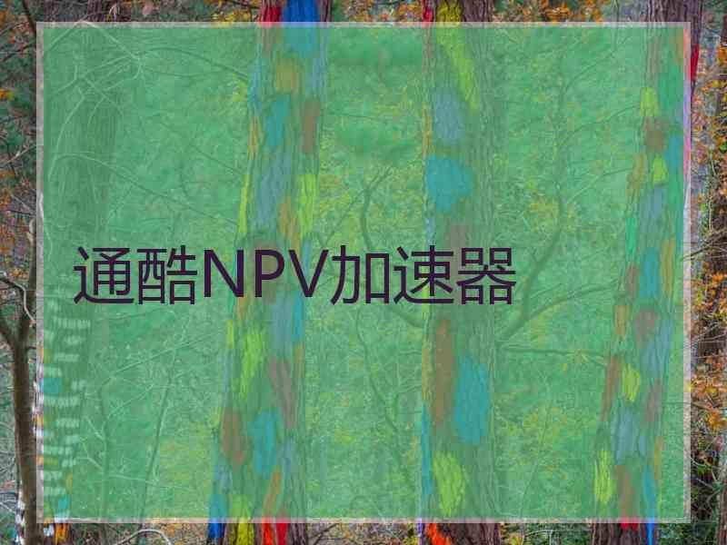 通酷NPV加速器