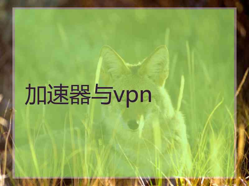 加速器与vpn