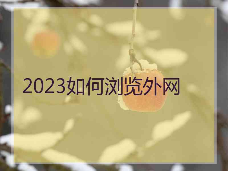 2023如何浏览外网