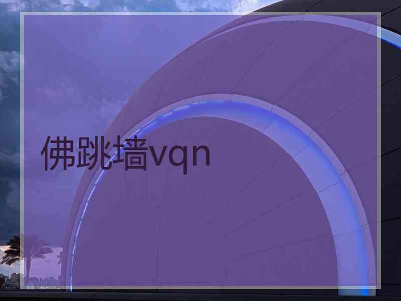 佛跳墙vqn