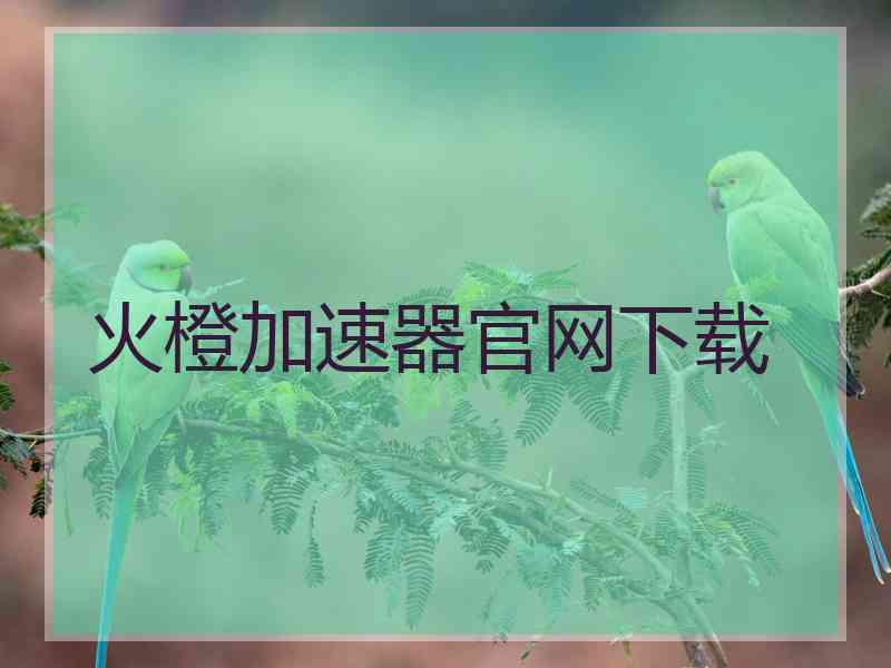 火橙加速器官网下载