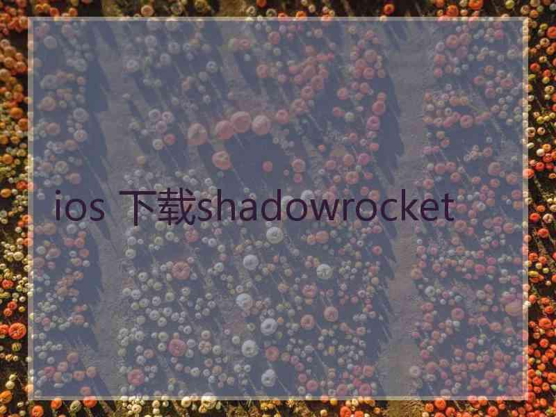 ios 下载shadowrocket