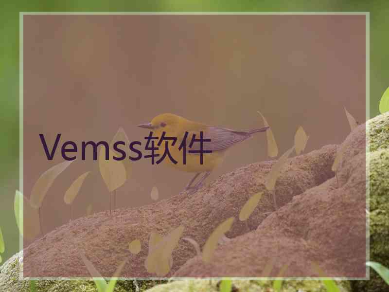 Vemss软件