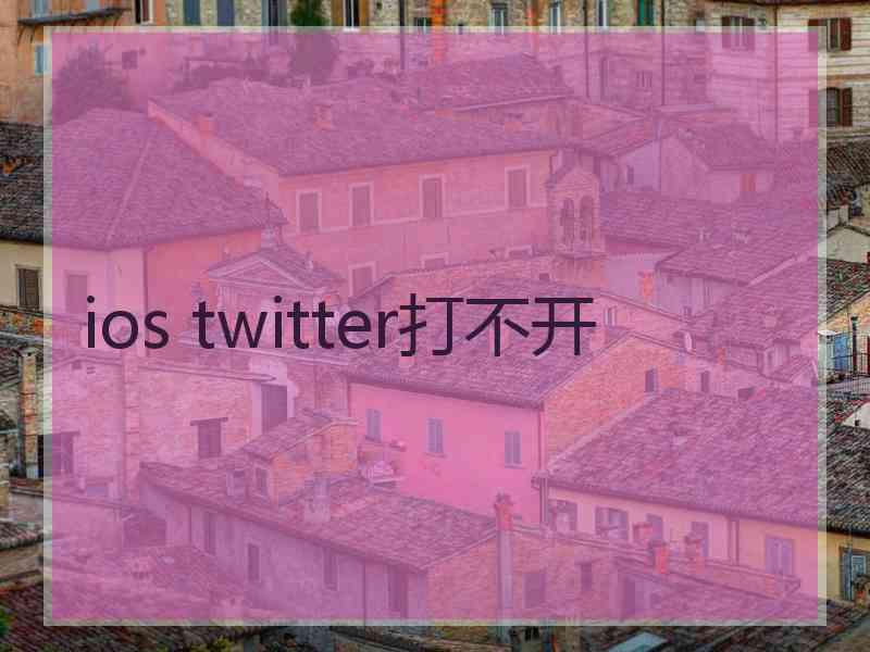 ios twitter打不开