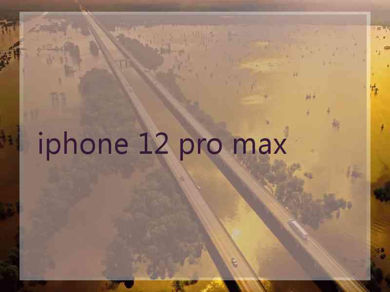 iphone 12 pro max