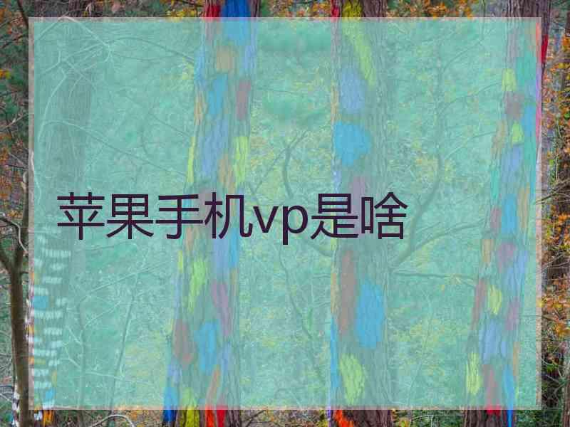 苹果手机vp是啥