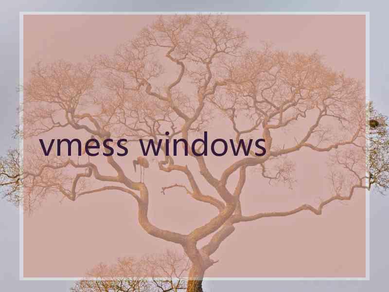 vmess windows