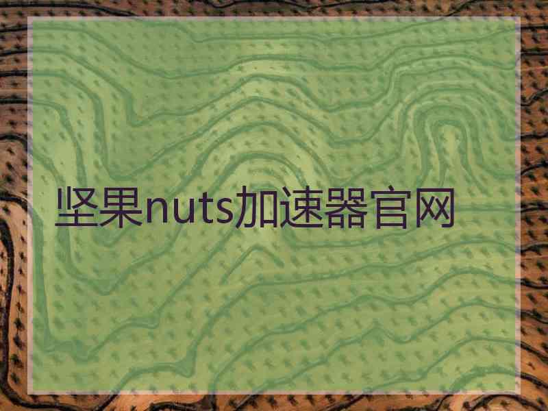 坚果nuts加速器官网