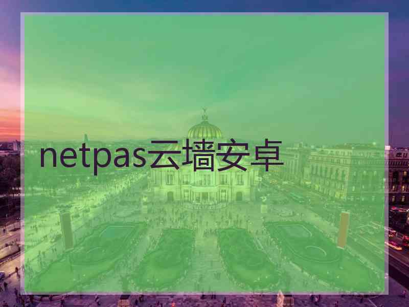 netpas云墙安卓