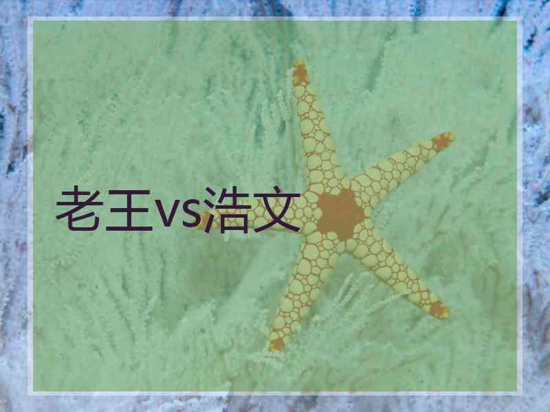 老王vs浩文