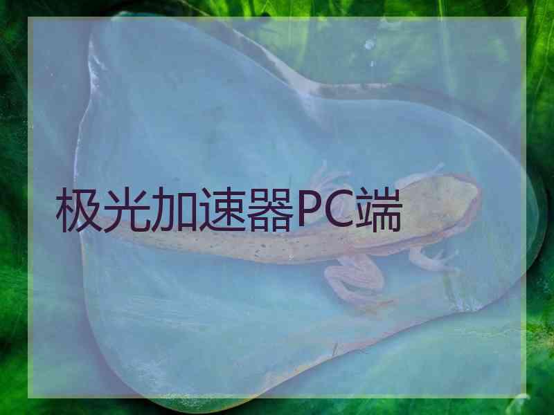 极光加速器PC端