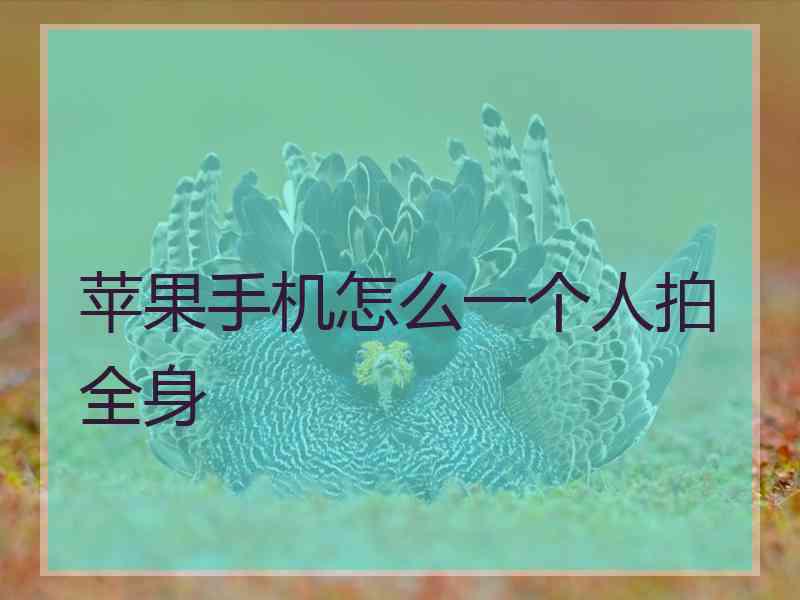 苹果手机怎么一个人拍全身