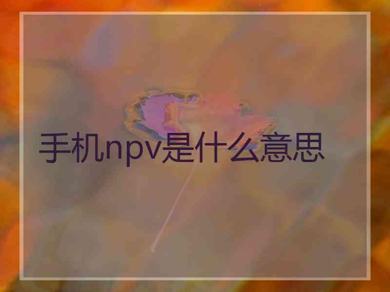 手机npv是什么意思