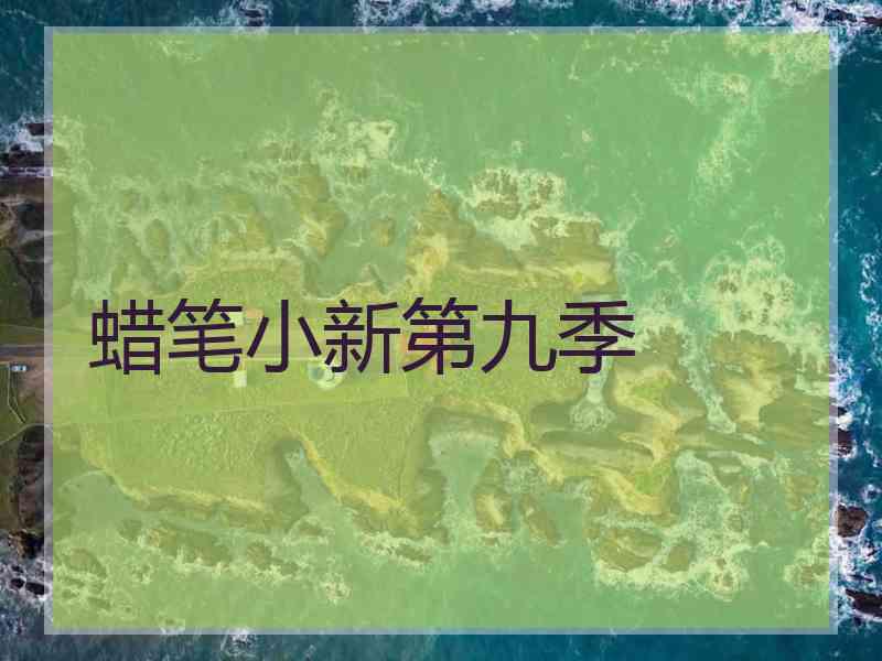 蜡笔小新第九季