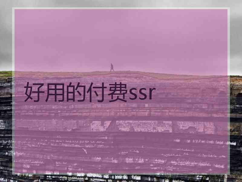 好用的付费ssr