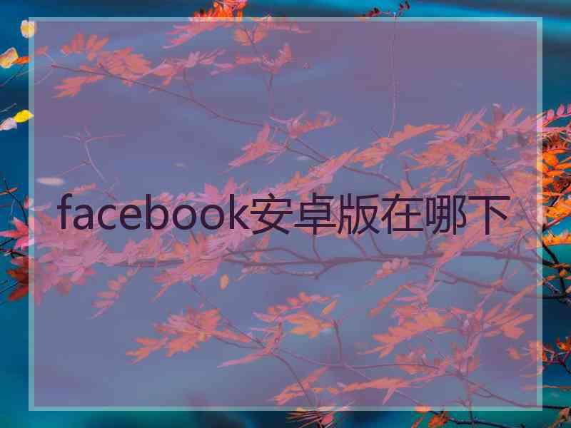 facebook安卓版在哪下