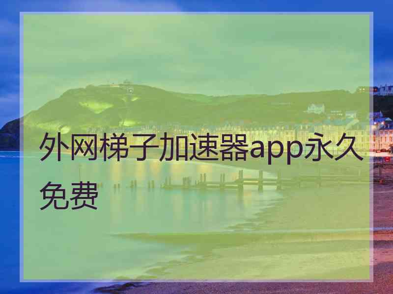 外网梯子加速器app永久免费