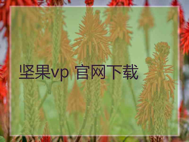 坚果vp 官网下载