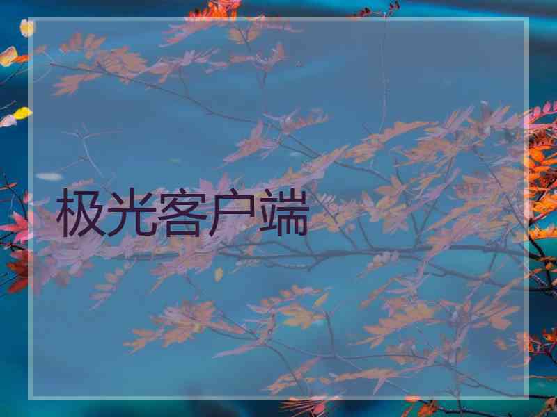 极光客户端