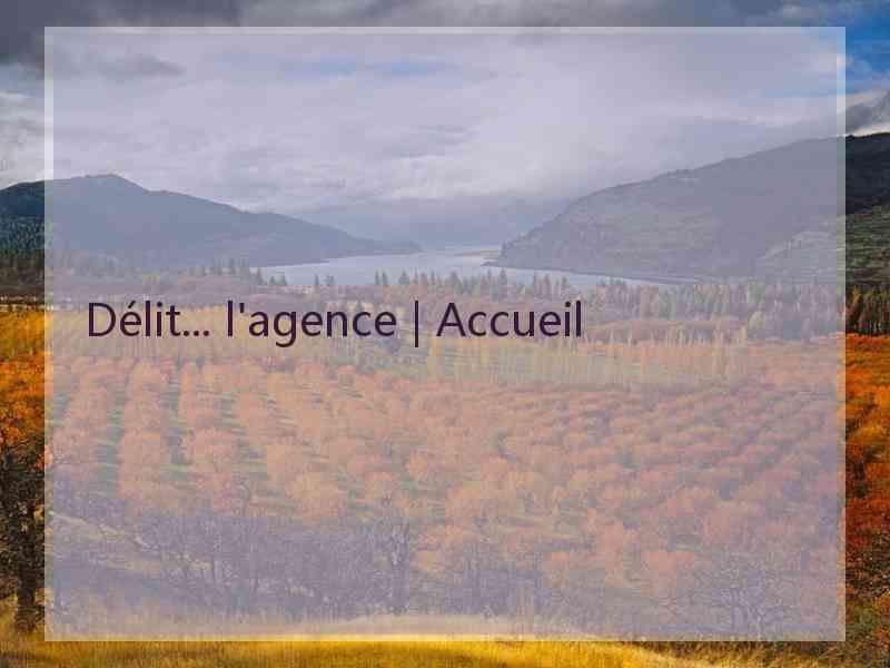 Délit... l'agence | Accueil