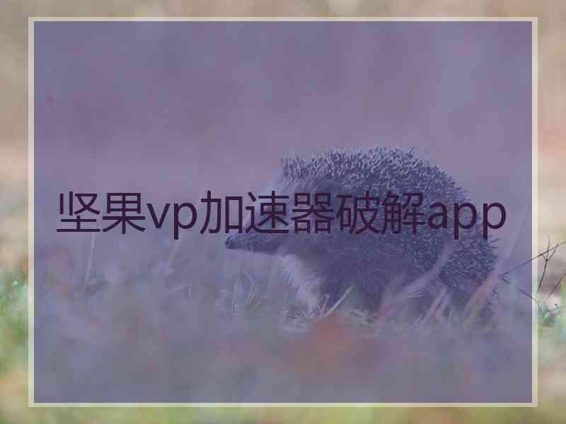 坚果vp加速器破解app