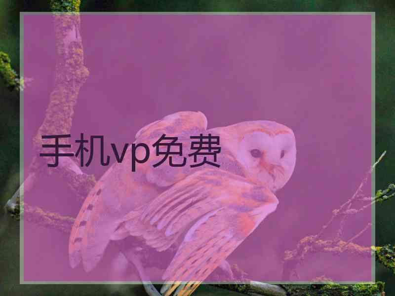 手机vp免费