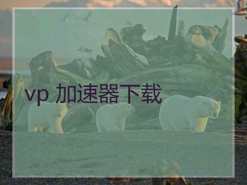 vp 加速器下载