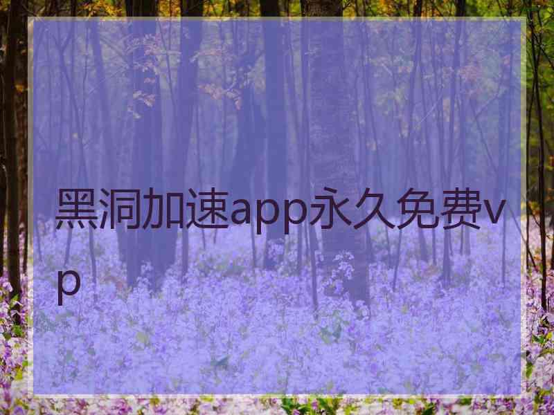 黑洞加速app永久免费vp