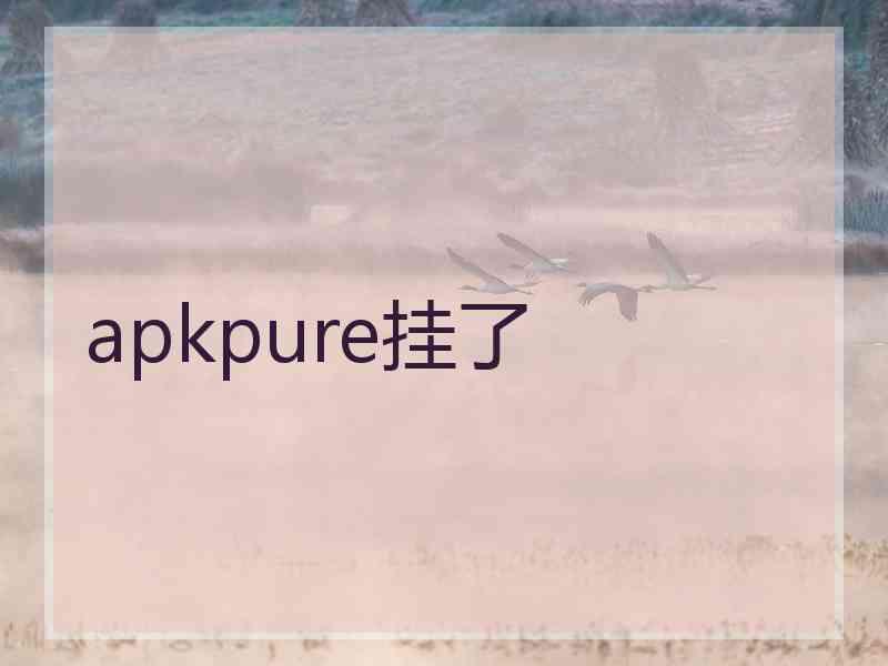 apkpure挂了